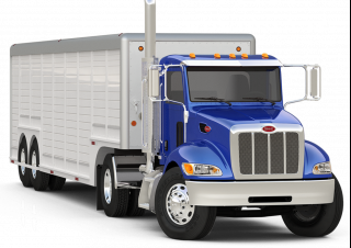 ट्रक रिजिड चेसिस Peterbilt 337 PACCAR PX-9