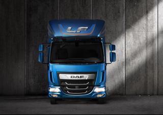 ट्रक रिजिड चेसिस DAF LF 210 FA 16t