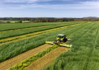 रियर-माउंटेड मोवर - बिना कंडीशनर के डिस्क Claas Disco 9300 Direct Swather