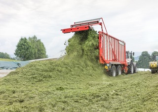 साइलेज ट्रेलर Pöttinger Jumbo 6020 L