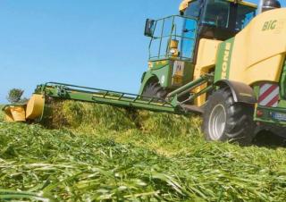 सेल्फ प्रोपेल्ड मोवर कंडीशनर Krone Big M 420 CV