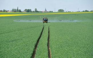 सेल्फ-प्रोपेल्ड फील्ड स्प्रेयर Challenger RoGator 655