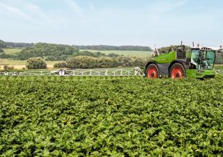 सेल्फ-प्रोपेल्ड फील्ड स्प्रेयर Fendt Rogator 655