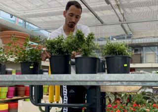 टेलीस्कोपिक बूम लिफ्ट सिंगल वर्टिकल मास्ट बूम लिफ्ट Faraone Elevah 40 B Picking