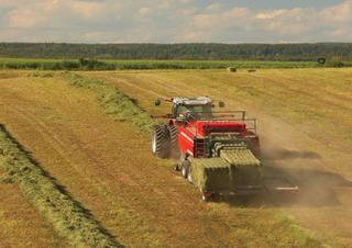 स्क्वायर बेलर Massey Ferguson MF 2190 SP