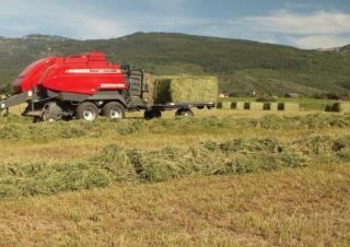 स्क्वायर बेलर Massey Ferguson MF 2190 SP