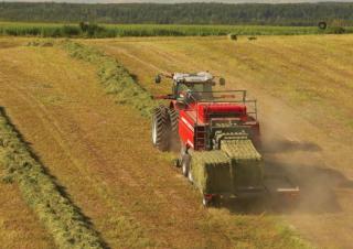 स्क्वायर बेलर Massey Ferguson MF 2190 TC