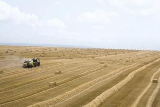 स्क्वायर बेलर Claas Quadrant 3400 RC