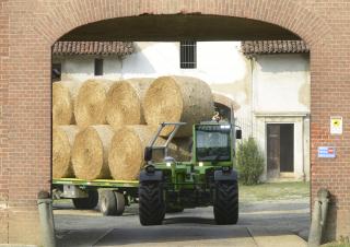 टेलीहैंडलर Merlo TF 50.8 T-120