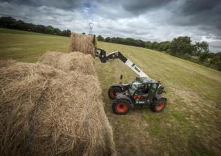 टेलीहैंडलर Bobcat TL38.70HF AGRI 130 IV