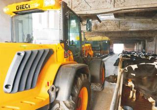 यार्ड लोडर Dieci Agri Pivot T90