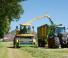 2WD फोरेज हार्वेस्टर Krone BiG X 630