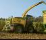 2WD फोरेज हार्वेस्टर Krone BiG X 630