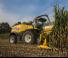 4WD फोरेज हार्वेस्टर New Holland FR 650