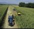 4WD फोरेज हार्वेस्टर New Holland FR 780