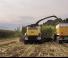 4WD फोरेज हार्वेस्टर New Holland FR 780