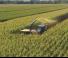 4WD फोरेज हार्वेस्टर New Holland FR 780