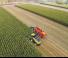 4WD फोरेज हार्वेस्टर New Holland FR 850
