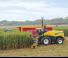 4WD फोरेज हार्वेस्टर New Holland FR 850