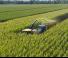 4WD फोरेज हार्वेस्टर New Holland FR 920