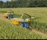 4WD फोरेज हार्वेस्टर New Holland FR 920 