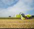 4WD फोरेज हार्वेस्टर Claas Jaguar 860