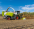 4WD फोरेज हार्वेस्टर Claas Jaguar 880