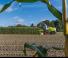 4WD फोरेज हार्वेस्टर Claas Jaguar 880