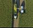 4WD फोरेज हार्वेस्टर Claas Jaguar 880