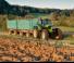 4WD ट्रैक्टर DEUTZ-FAHR Agrotron L 710