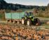 4WD ट्रैक्टर DEUTZ-FAHR Agrotron L 710 DCR