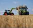 4WD ट्रैक्टर Claas Axos 3.120 Comfort