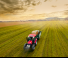 4WD ट्रैक्टर Case IH Farmall 65 A Rops