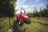 4WD ट्रैक्टर McCormick GM 55