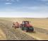 4WD ट्रैक्टर Case IH Magnum 250 CVX Basis