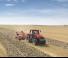 4WD ट्रैक्टर Case IH Magnum 380 CVX Basis