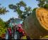 4WD ट्रैक्टर Massey Ferguson MF 1765 M MP 