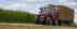 4WD ट्रैक्टर Massey Ferguson MF 6615 Dyna VT