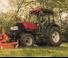 4WD ट्रैक्टर Case IH Quantum 110 V Rops