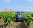 4WD ट्रैक्टर Landini Rex 120F