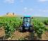4WD ट्रैक्टर Landini Rex DT 4-100V