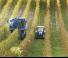 4WD ट्रैक्टर New Holland T 4.105 LP