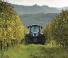 4WD ट्रैक्टर New Holland T 4.105 LP