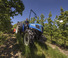 4WD ट्रैक्टर New Holland T 4.95 LP