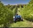 4WD ट्रैक्टर New Holland T 4.95 LP