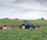 4WD ट्रैक्टर New Holland T6.180