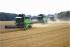 कंबाइन हार्वेस्टर DEUTZ-FAHR 6095 A HTS