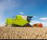 कंबाइन हार्वेस्टर Claas Avero 160