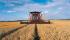 कंबाइन हार्वेस्टर Case IH Axial Flow 5088