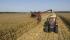 कंबाइन हार्वेस्टर Case IH Axial Flow 6088